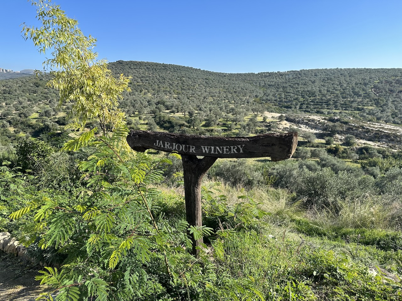 Jarjour winery in tartous Syria