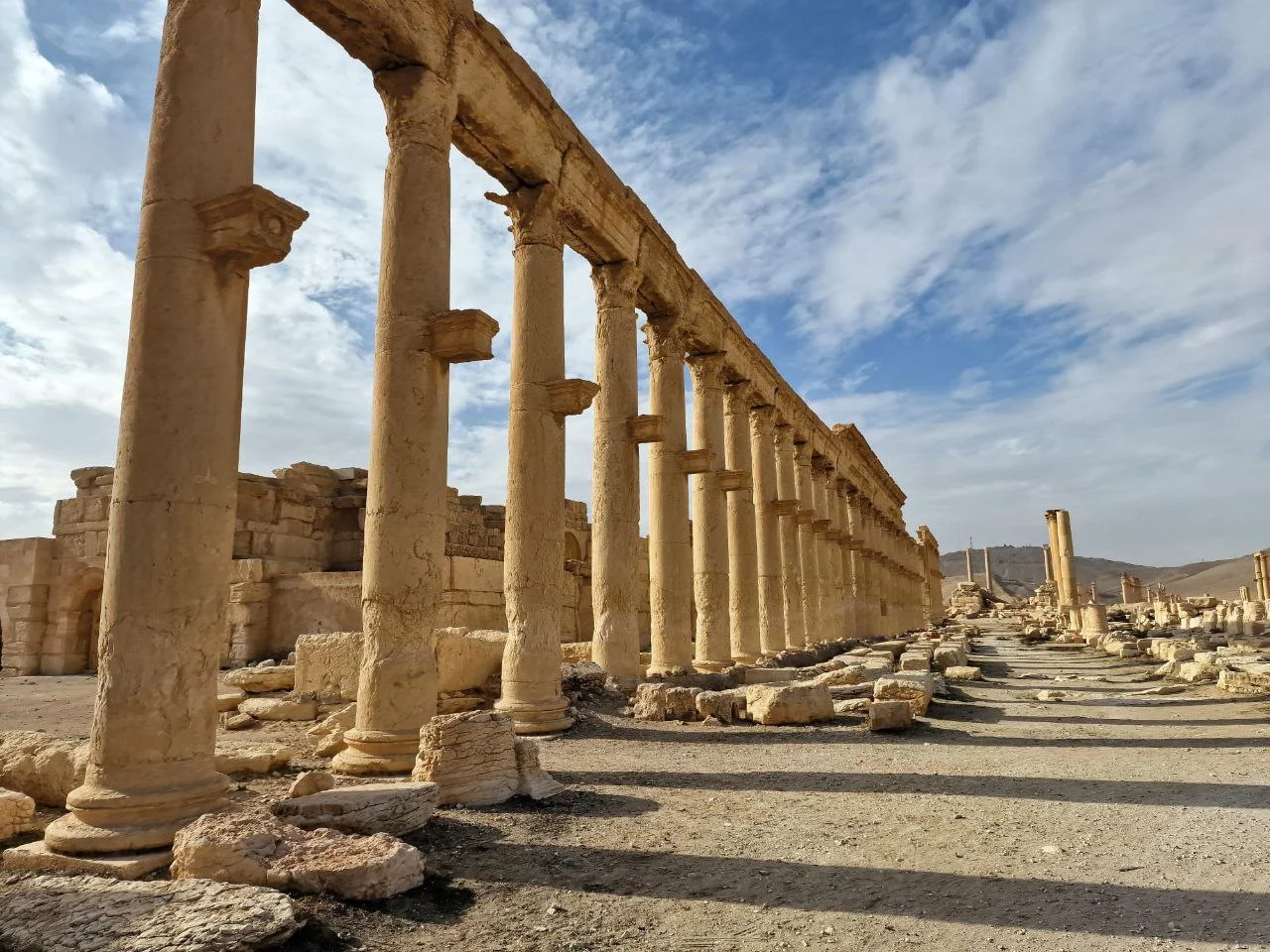 Palmyra