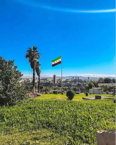 Free Syria Flag