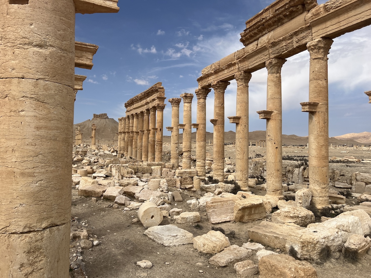 Palmyra