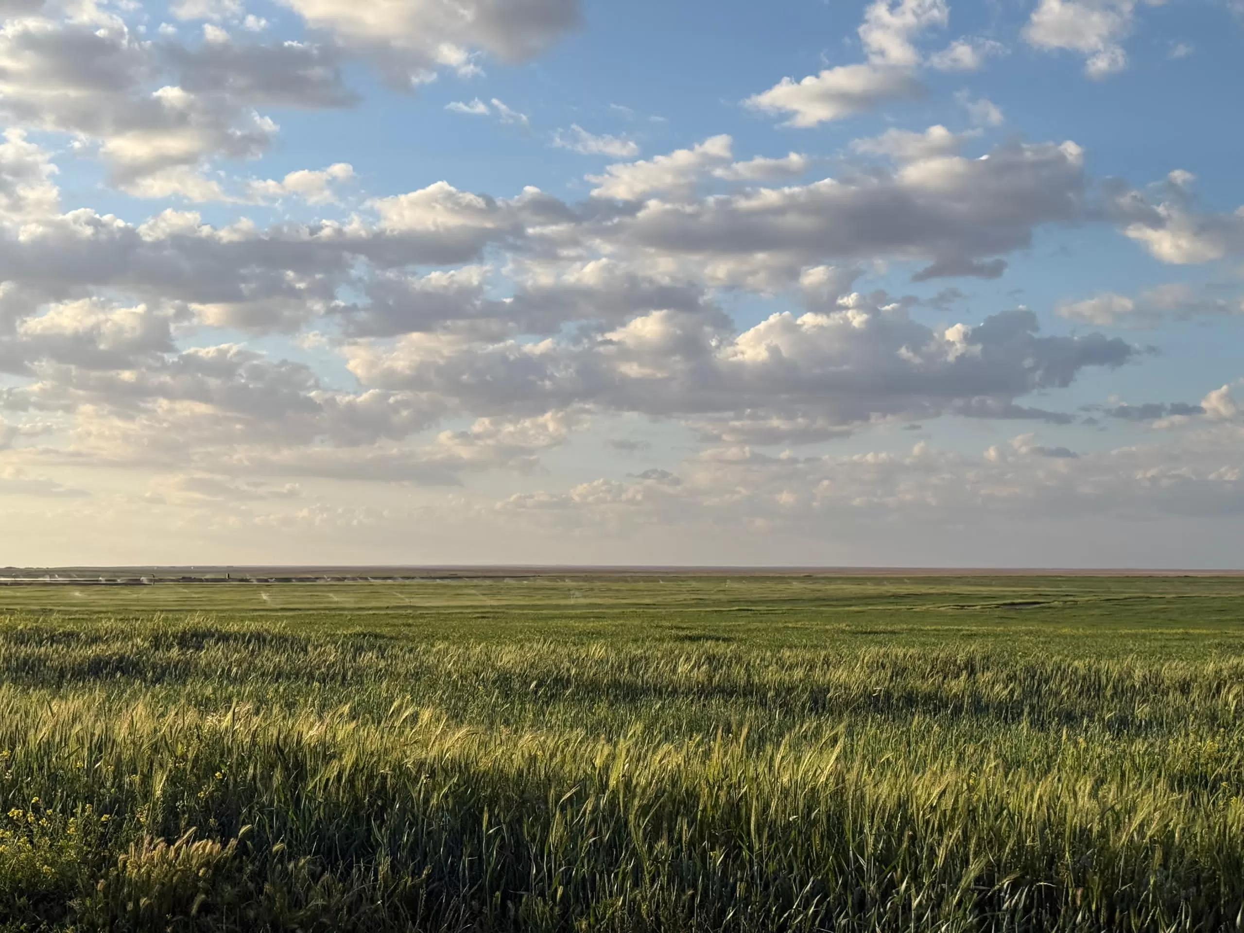 The road to Raqqah