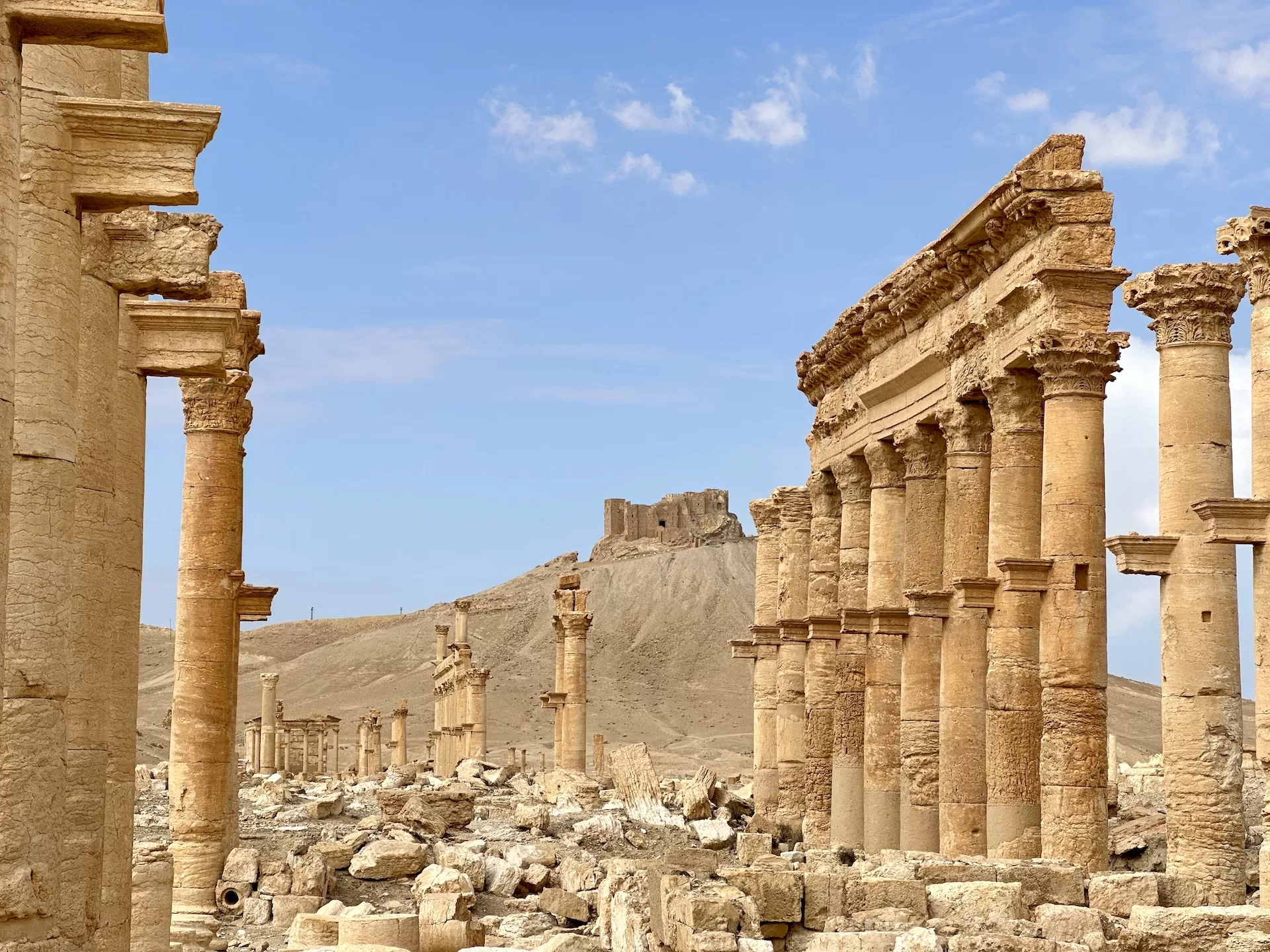 Palmyra