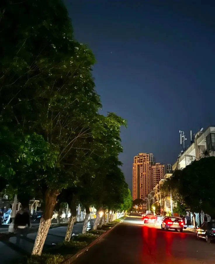 ​Al-Naaoura Souq, Homs​