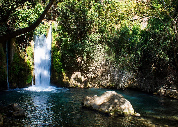 ​The Hidden Waterfalls of Safita and Tartus&nbsp;