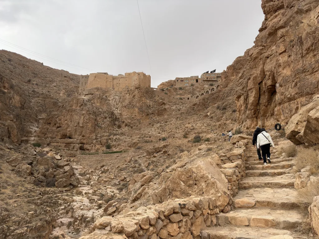 The road to Mar Musa Monastery